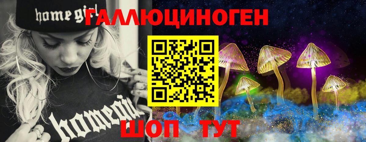 Галлюциногенные грибы Psilocybine cubensis  Вход с VPN  Черногорск 